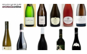 10 Vini per le feste: la nostra scelta tra Champagne e Rossese!